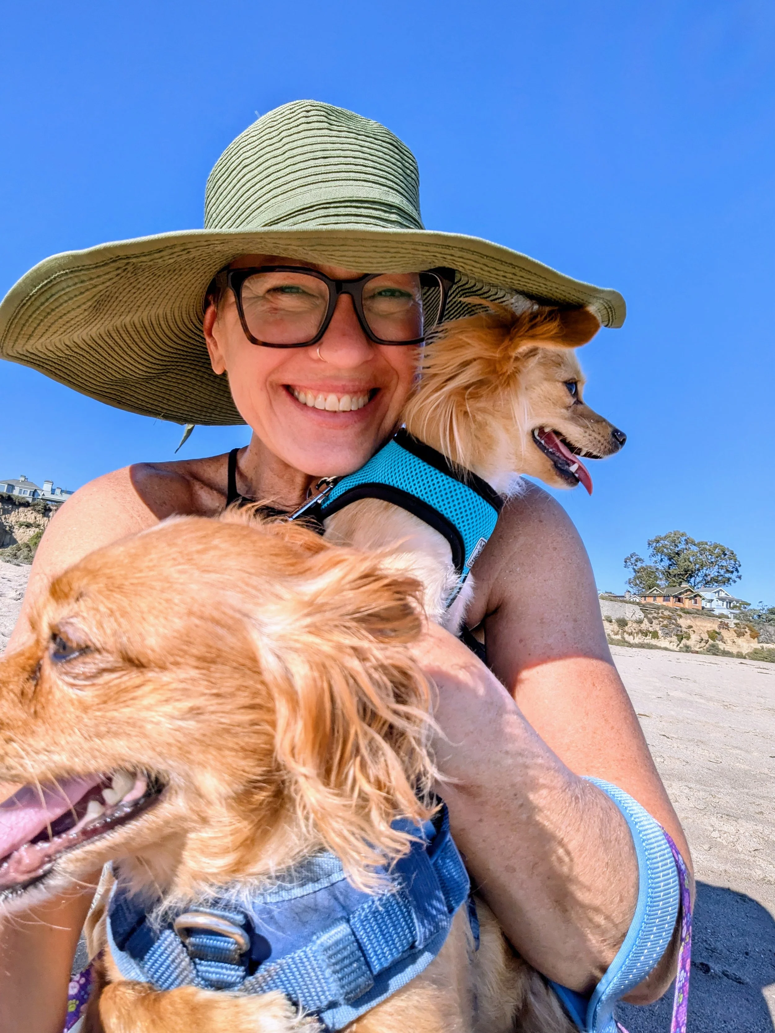 LMFT Kristen VanKllotwyk and her dogs at the beeach