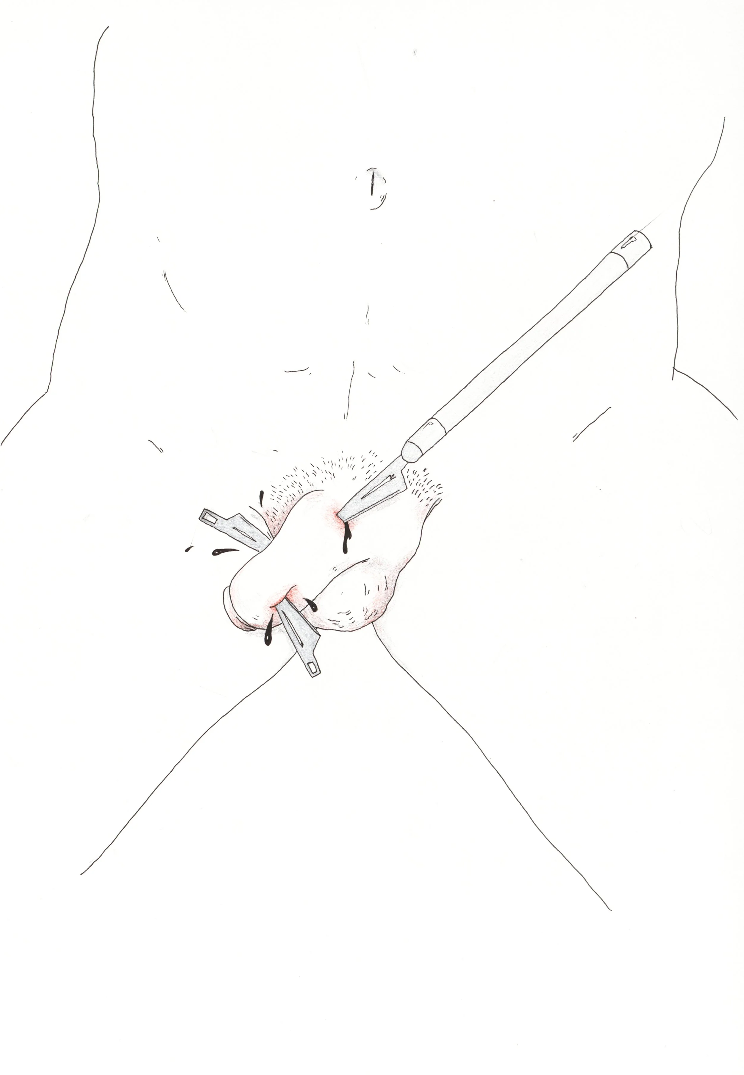 Penis 19.jpg