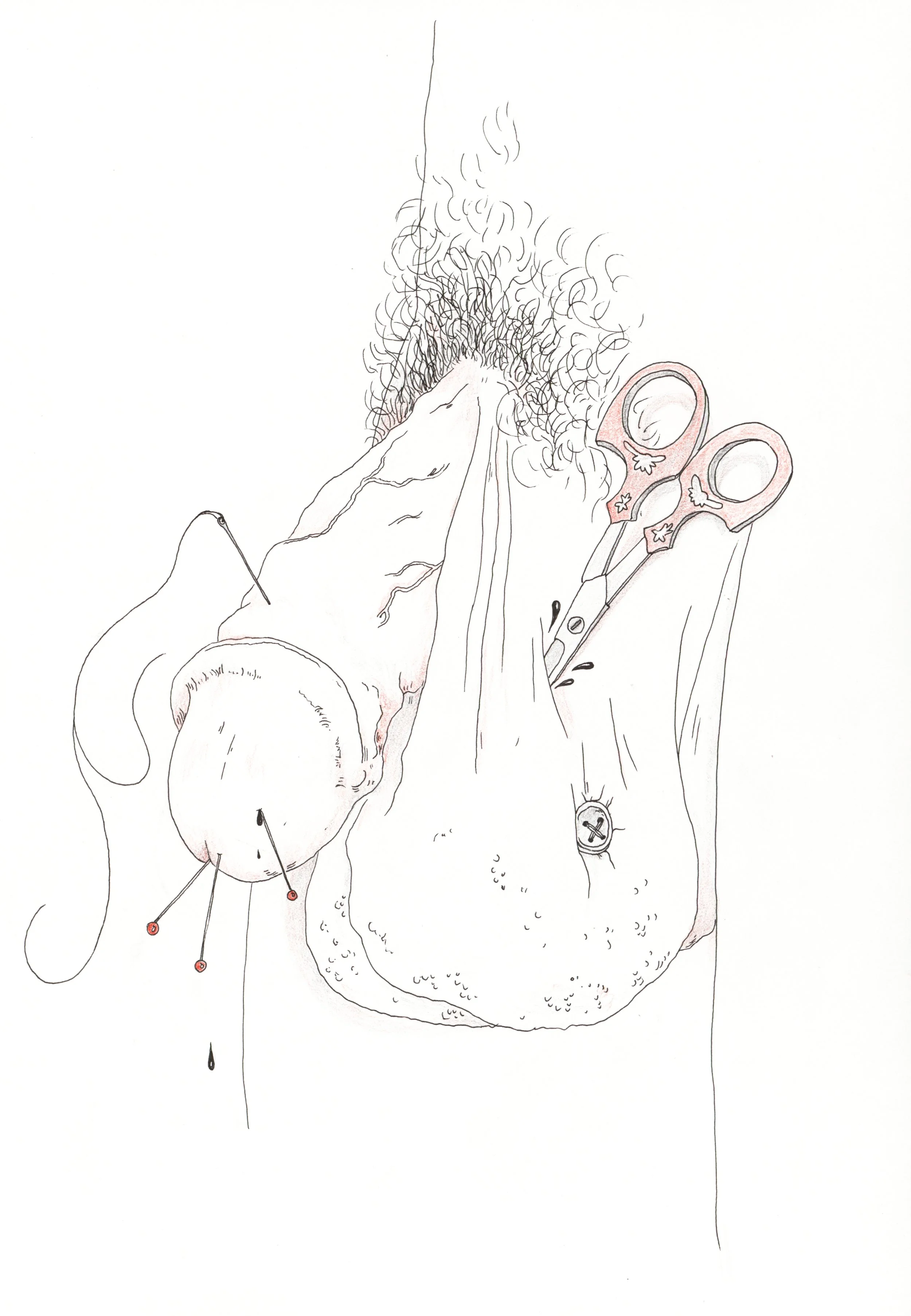 Penis 18.jpg