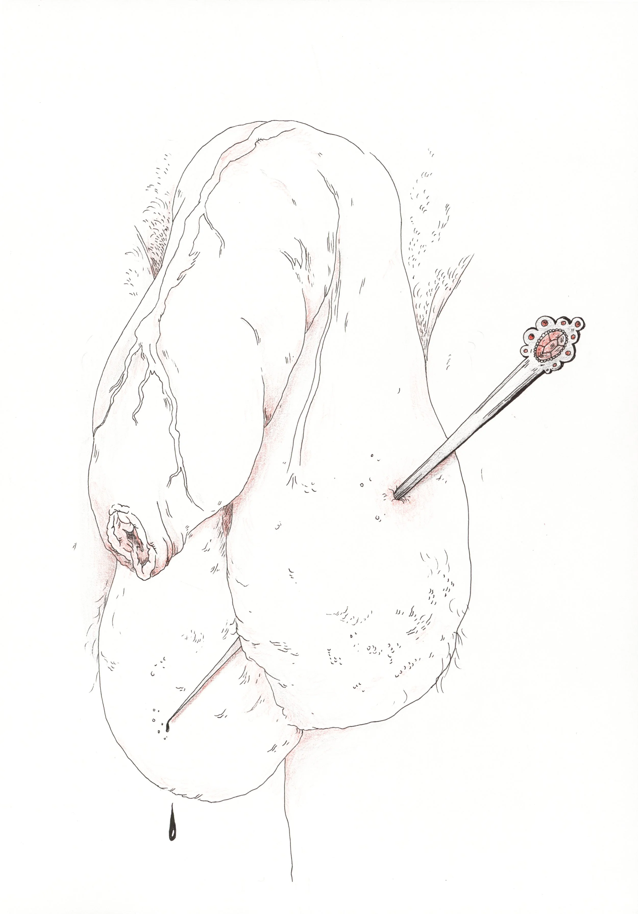 Penis 6.jpg