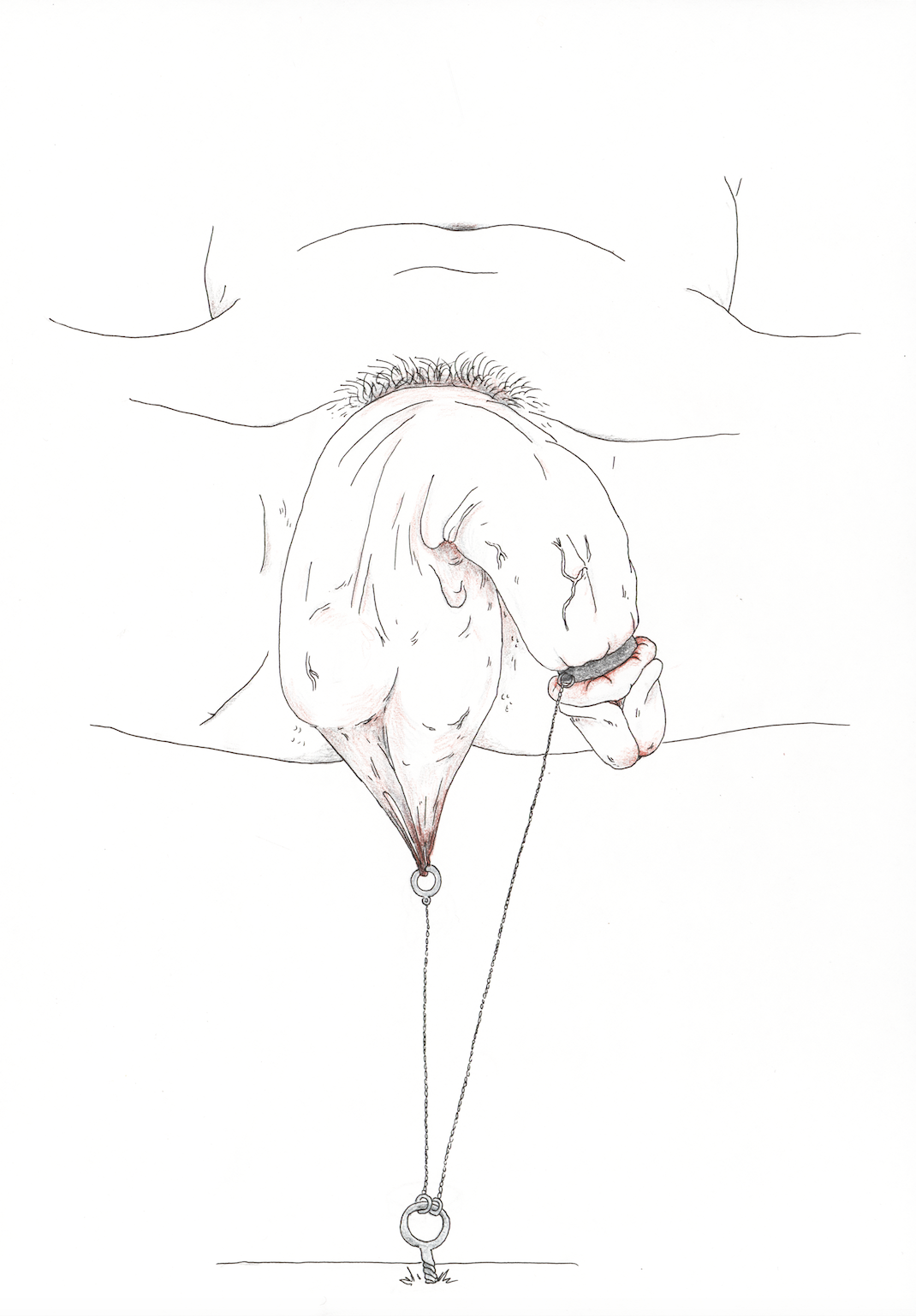 penis720252.png