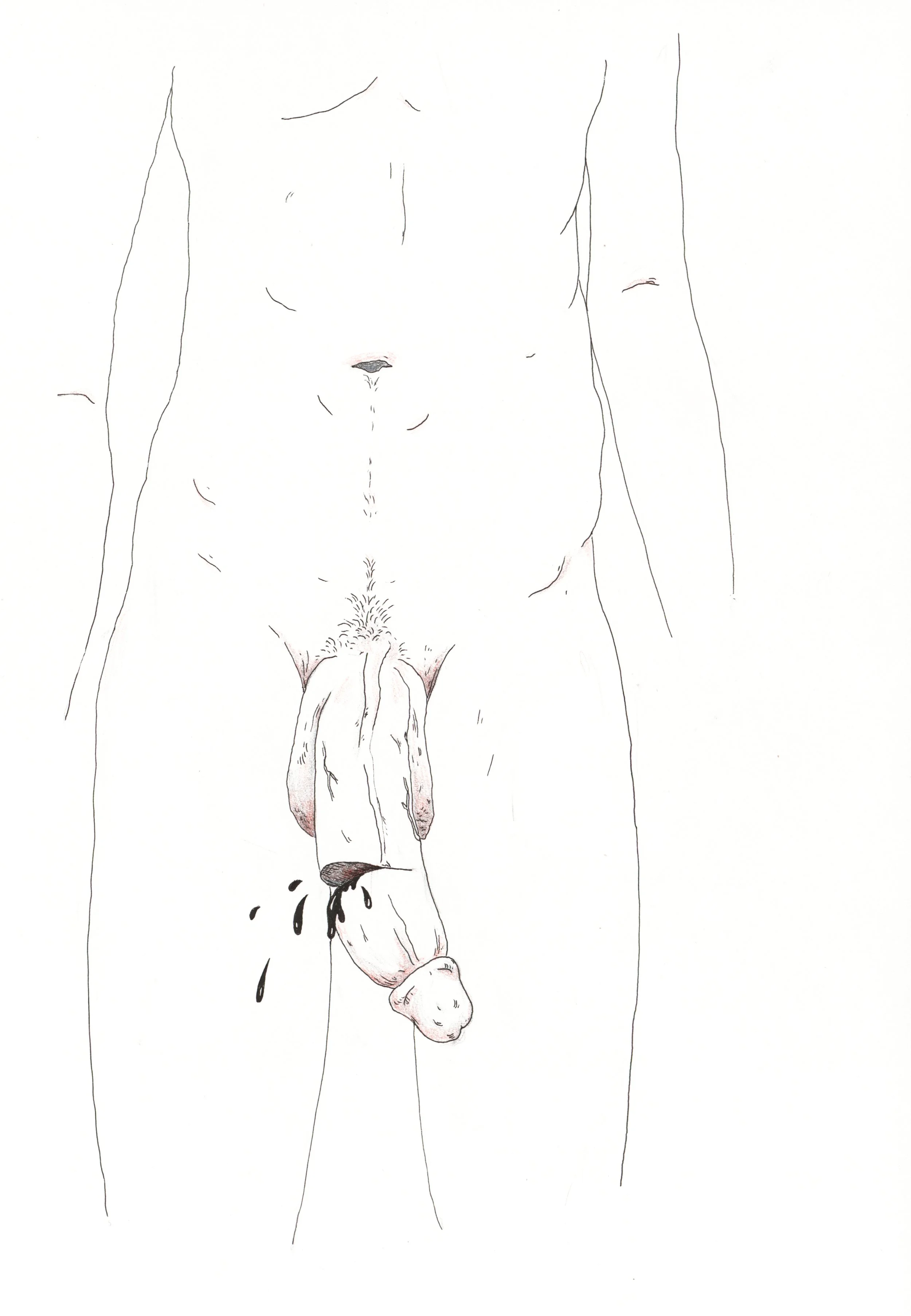 Penis 24.jpg