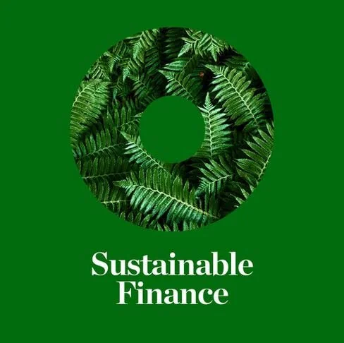Sustainable Finance Forum Launched