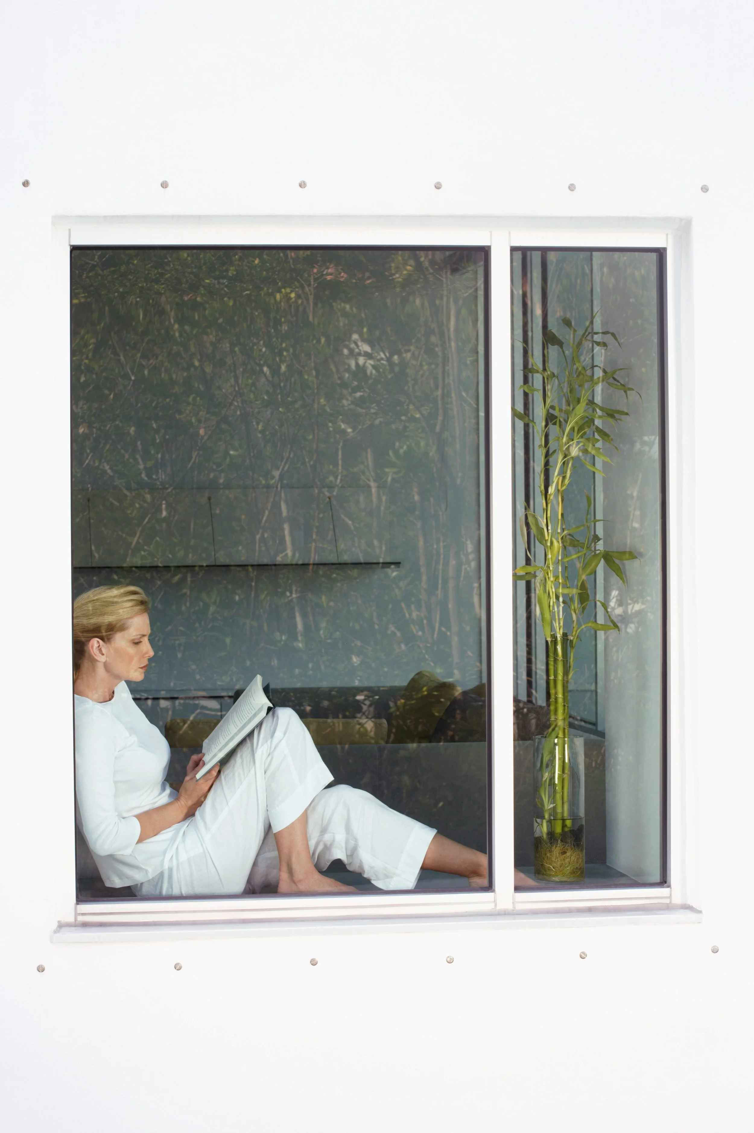 Woman reading a book inside a modern room with large glass window, white walls, and a tall potted plant.