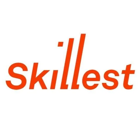 professionals_skillest-2000x1125.jpg