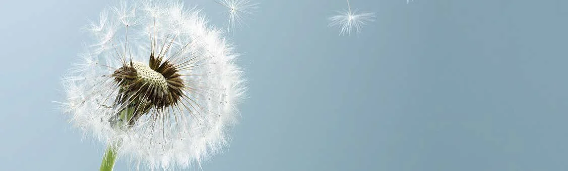 How mindfulness can improve the way we work
