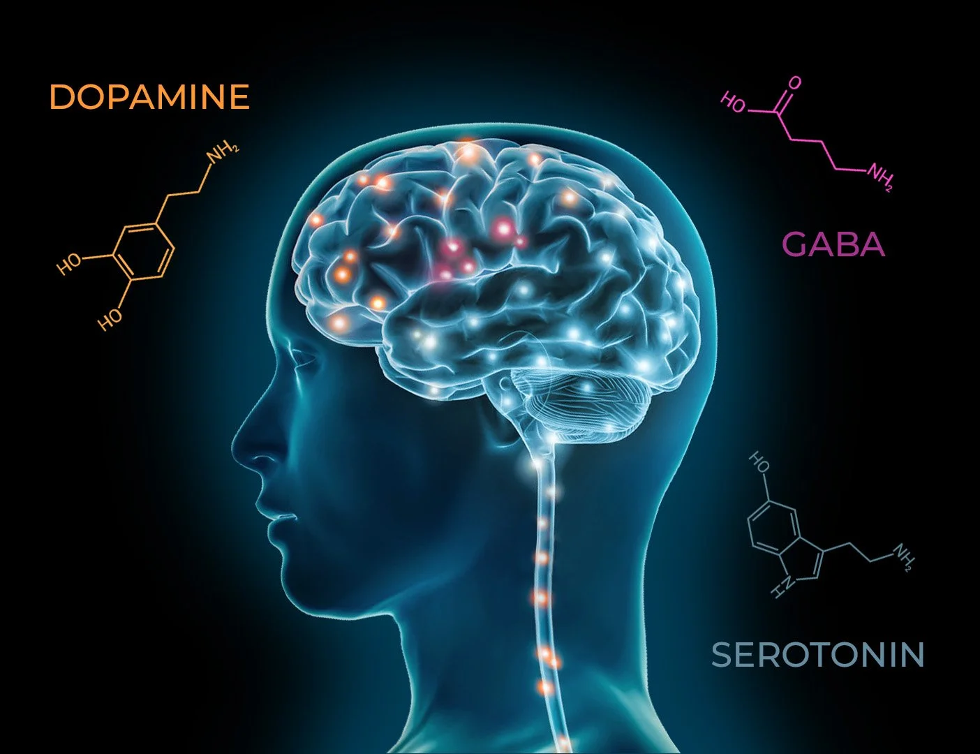Post-brain-chemistry-Dopmanine-Serotonin-GABA.jpg