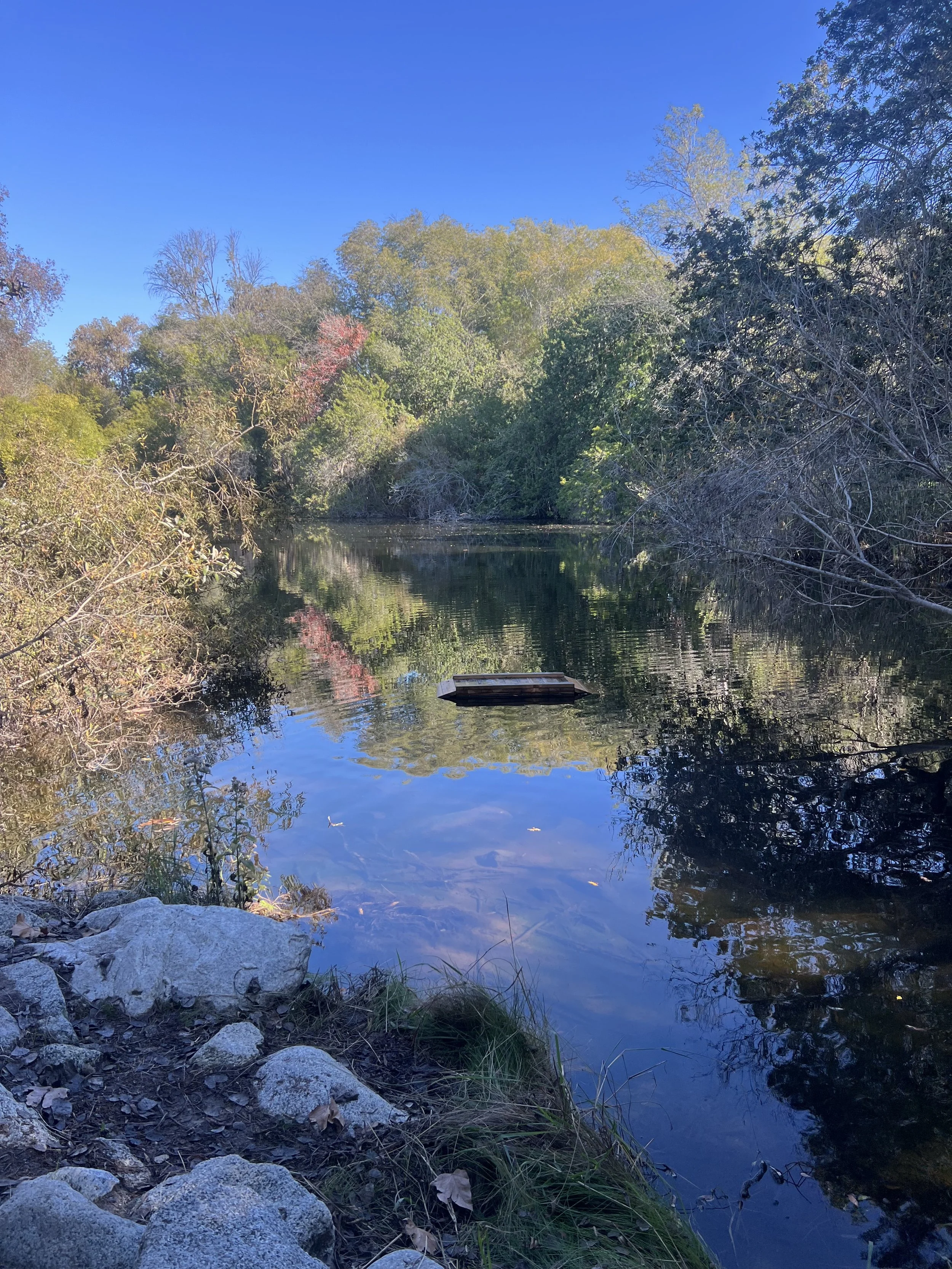 Journey Into the Unknown | Chapter 5:  Winter Reflections and What’s Next | December, 2025