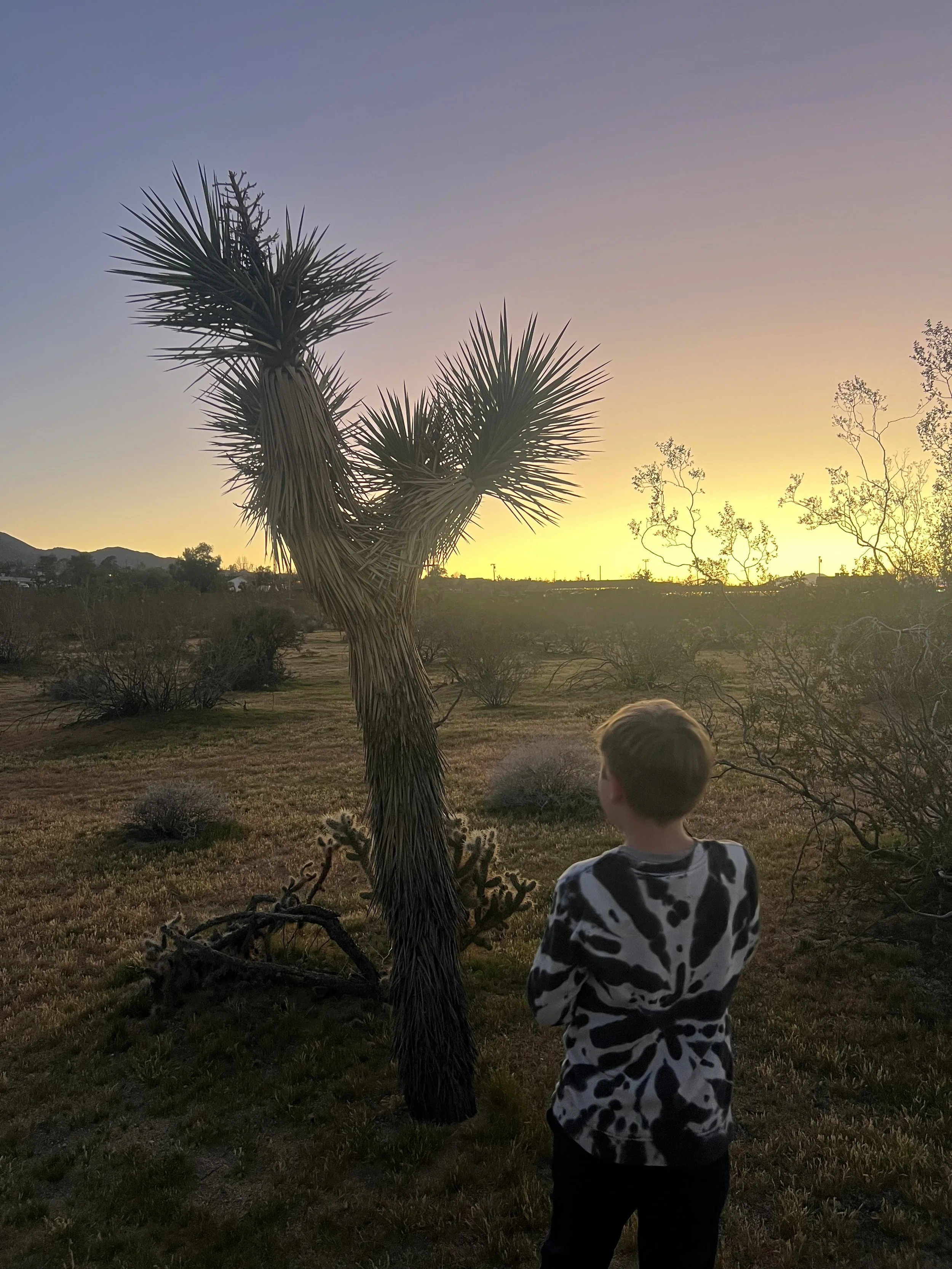 Journey Into the Unknown:  Chapter 7