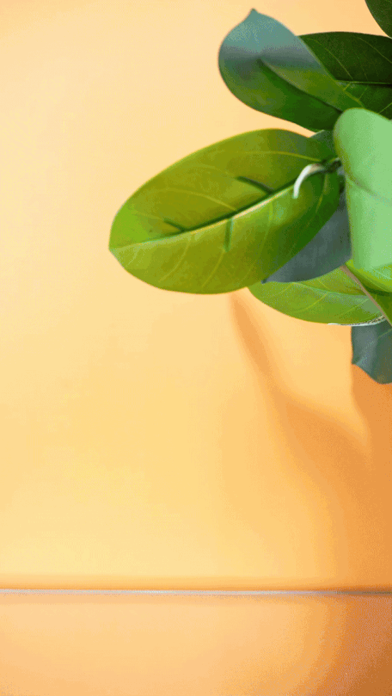 grace-stopmotion-branded-content-socialmedia2-ezgif.com-resize.gif