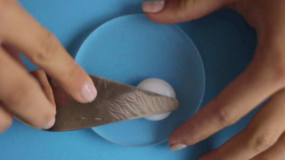 Blog | BLVCK Creative Studio