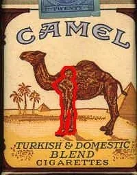 Camel