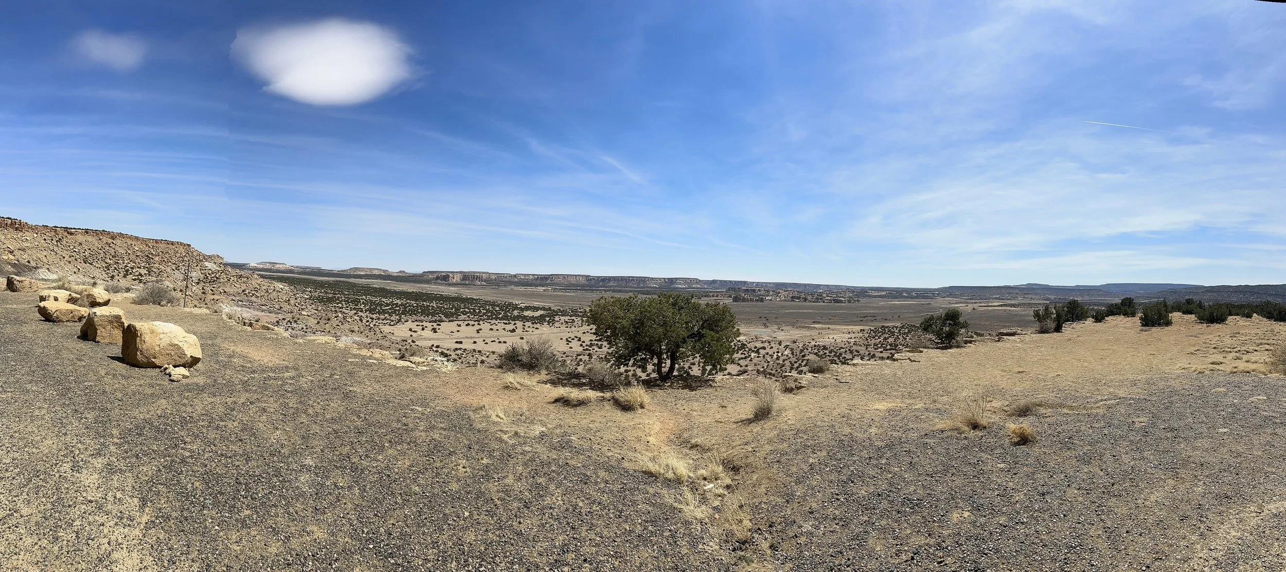 The Trout and the Lonely Woman