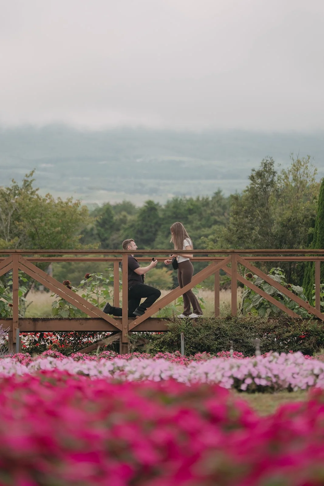 Surprise proposal ideas in Japan