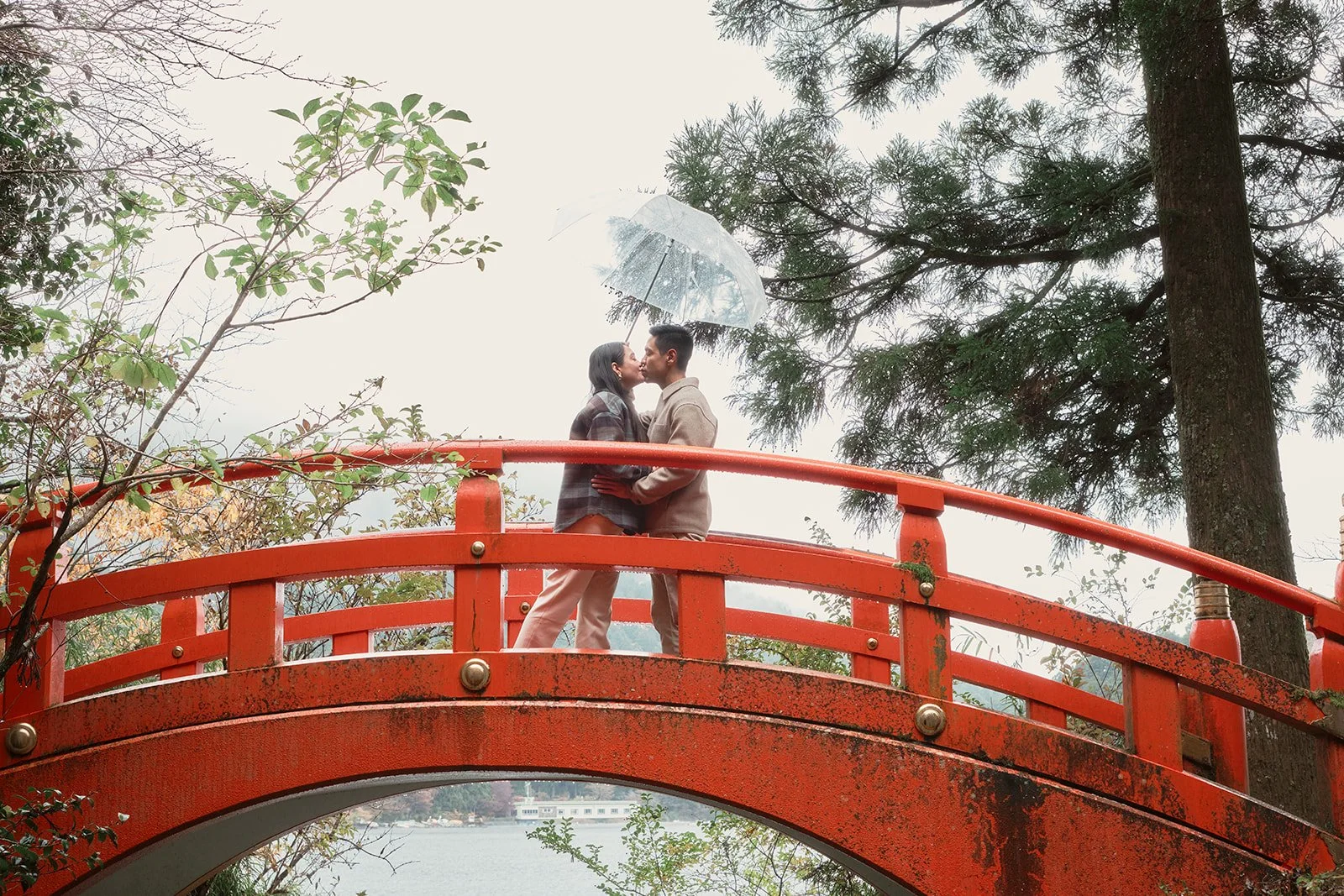 Looking for Nature Spots in Japan? Here Are My Favorite Secluded Nature Locations