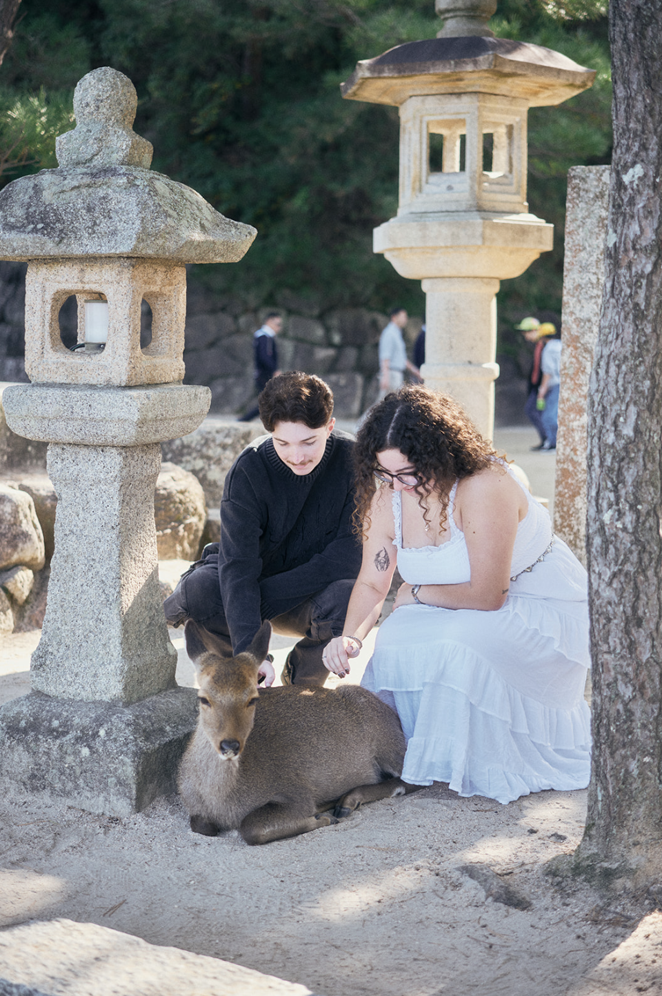 Screenshot 2025-12-30 at 10.18.02 AM.png