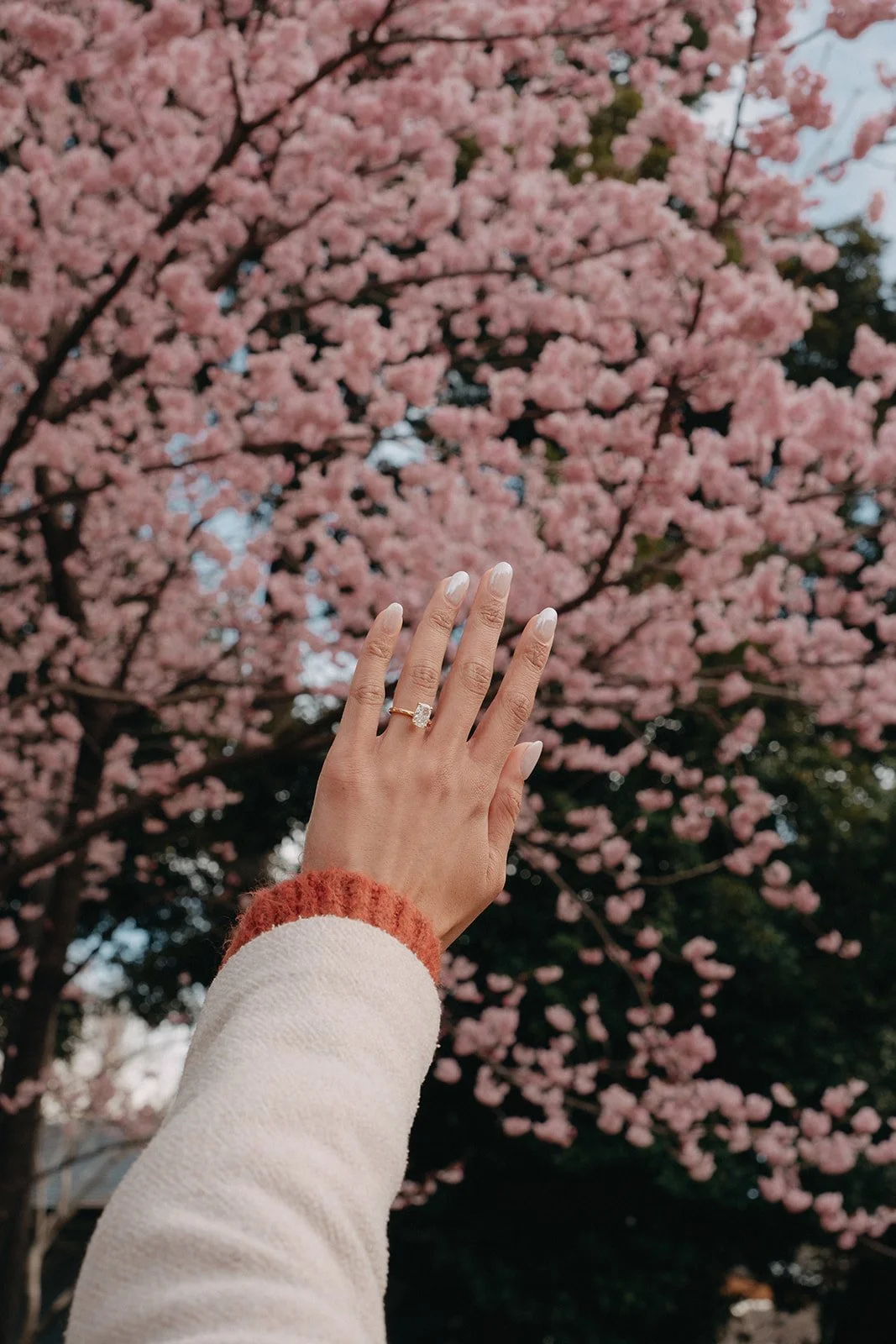 _DSF7311_websize (1).jpg