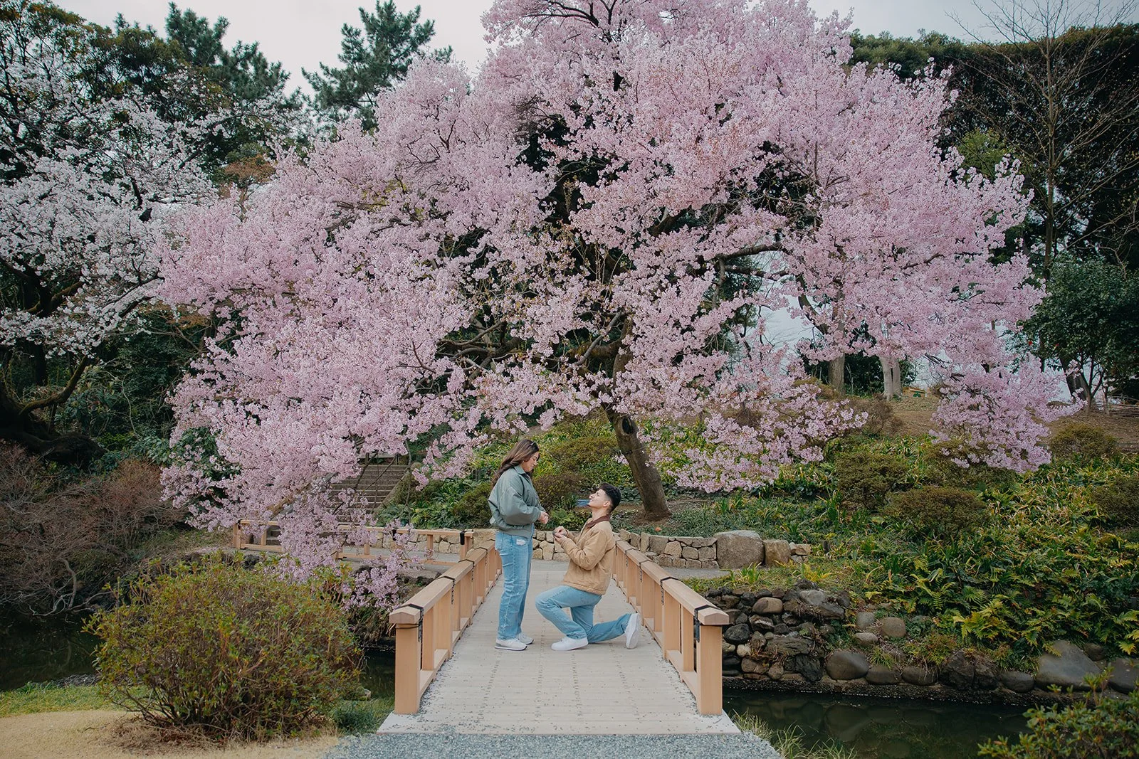Capturing a Cherry Blossom Proposal at a Hidden Gem in Tokyo