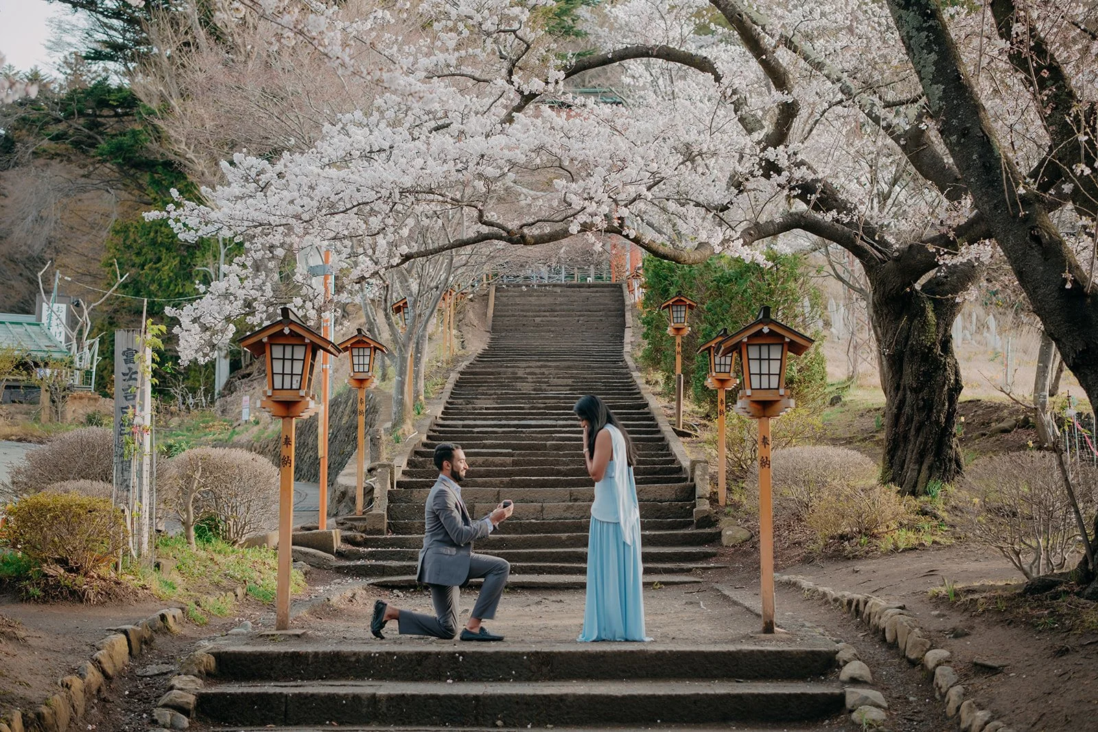 Cherry Blossom Proposal at Chureito Pagoda: Mount Fuji Views and a Picnic