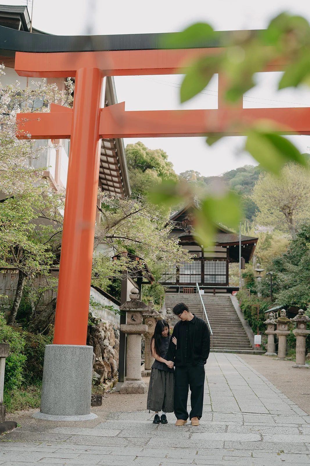 Early Morning Proposal in Uji During Sakura Season