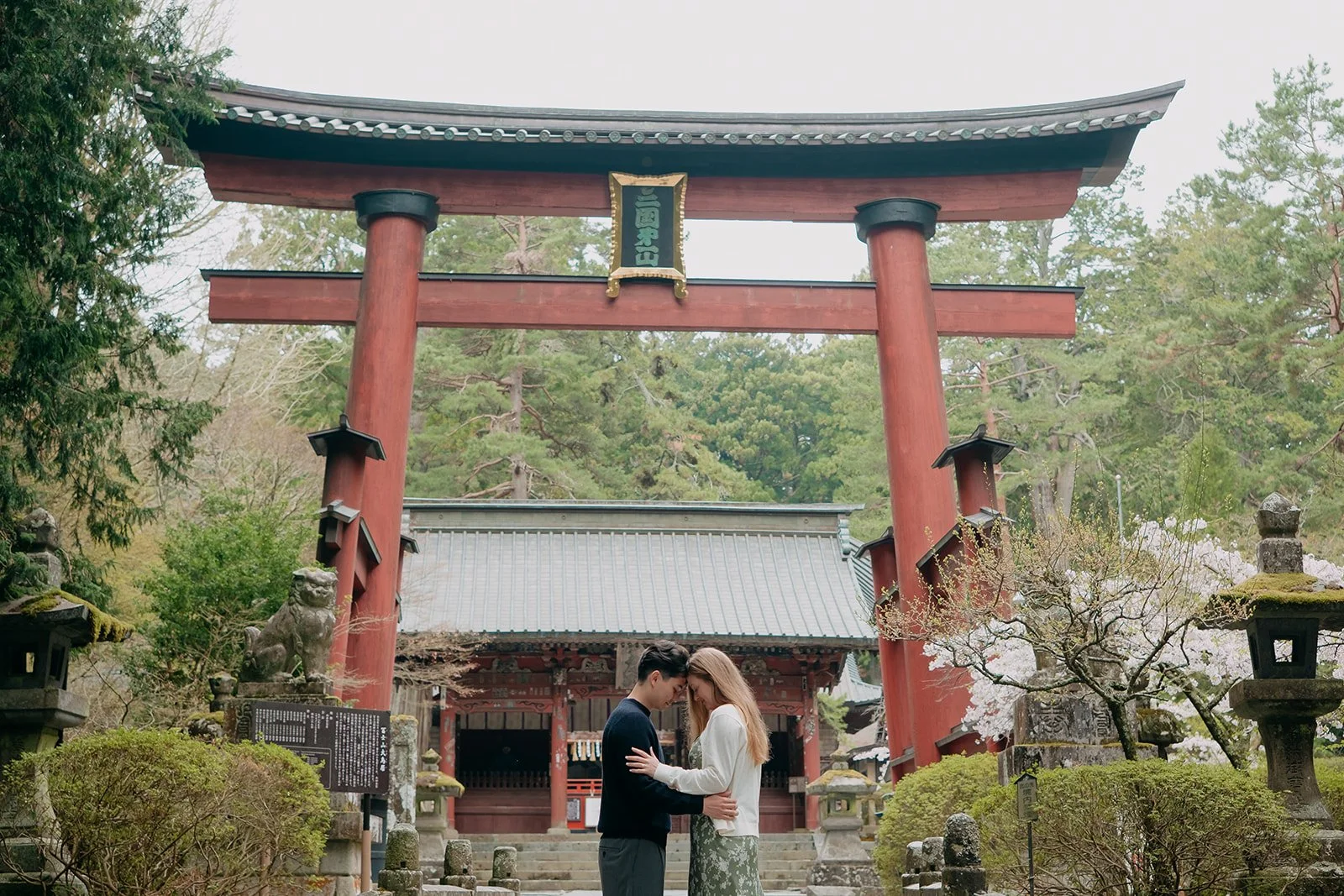 A Scenic Japan Proposal with Mount Fuji