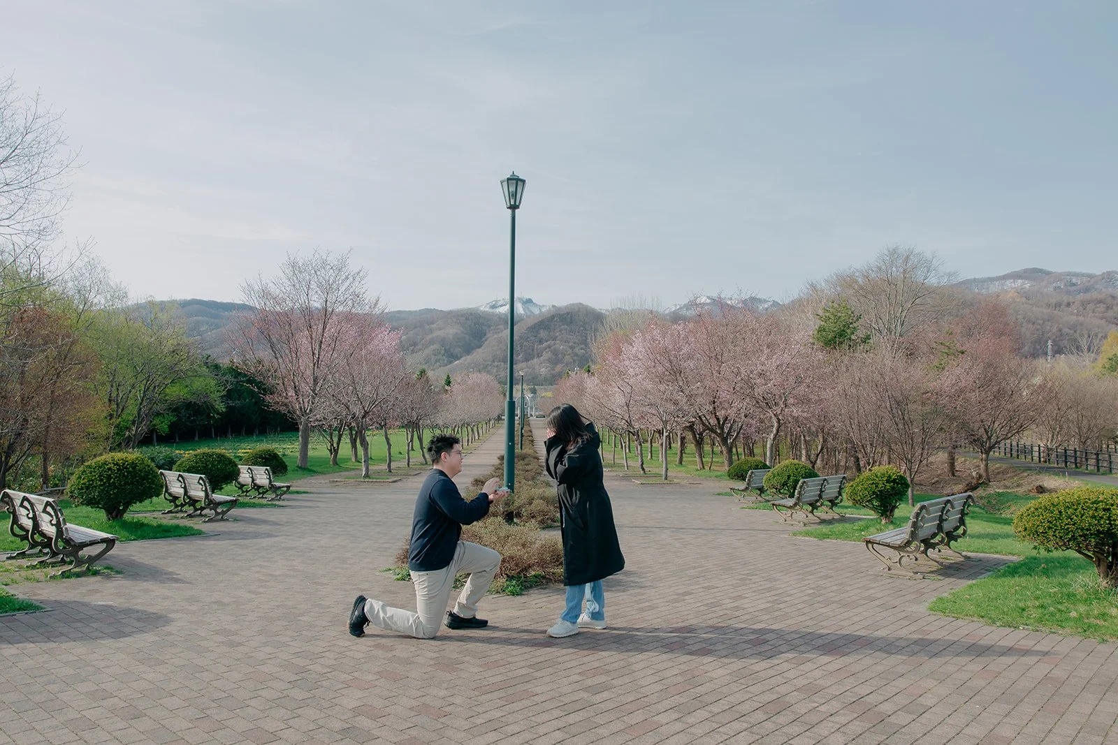Planning A Romantic Cherry Blossom Proposal in Sapporo