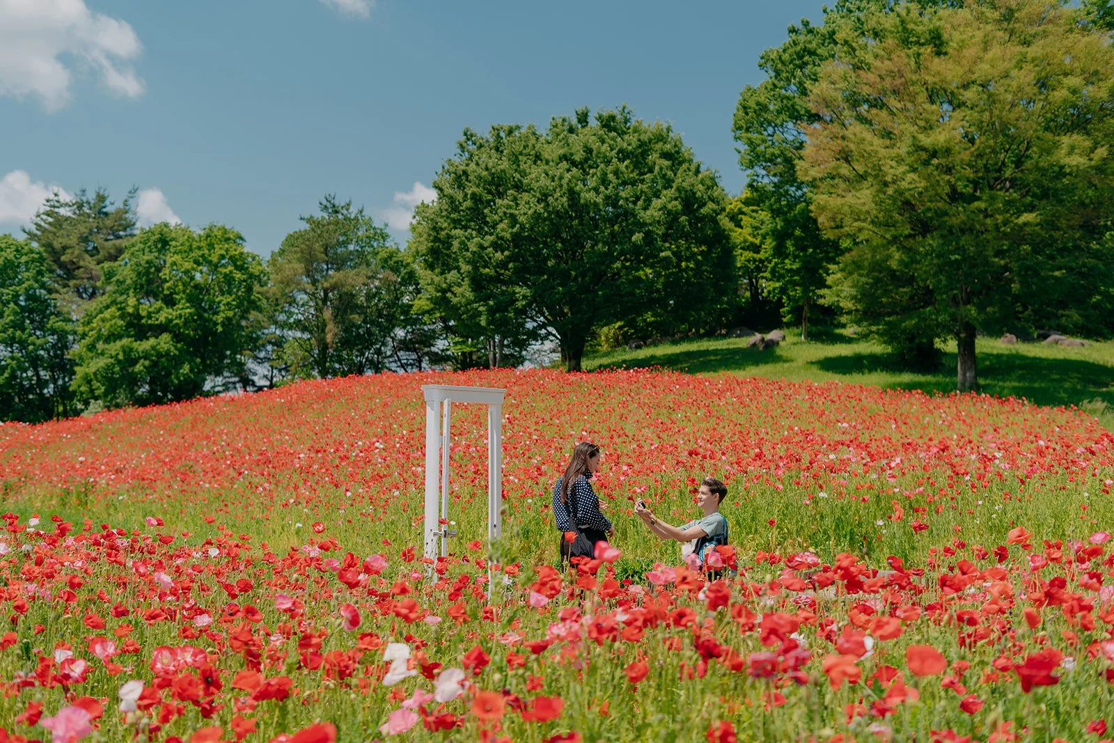 Bringing a Surprise Proposal to Life at Showa Kinen Park