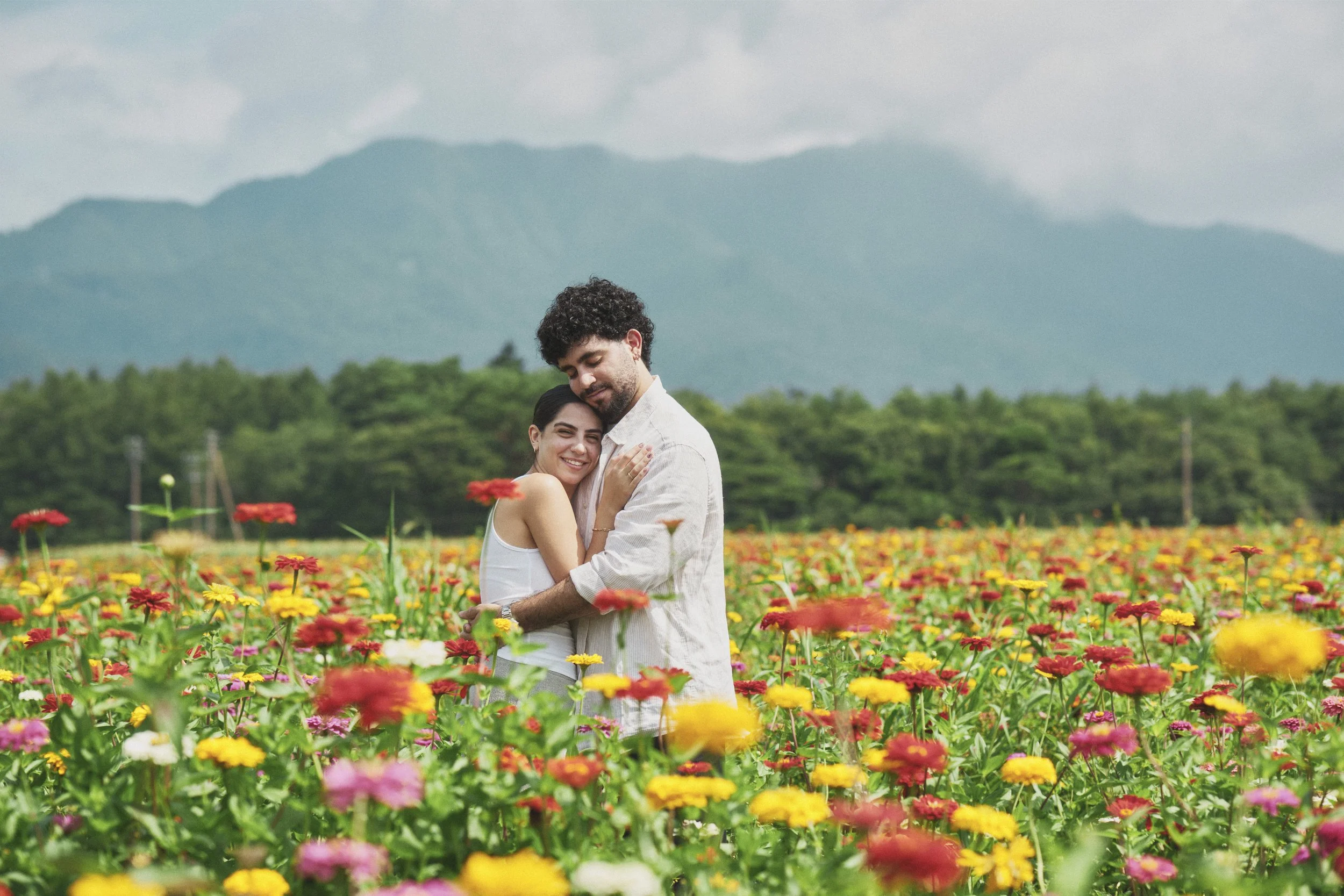 Japan Bloom Guide 2026: Spring-Summer Flowers and Best Viewing Spots