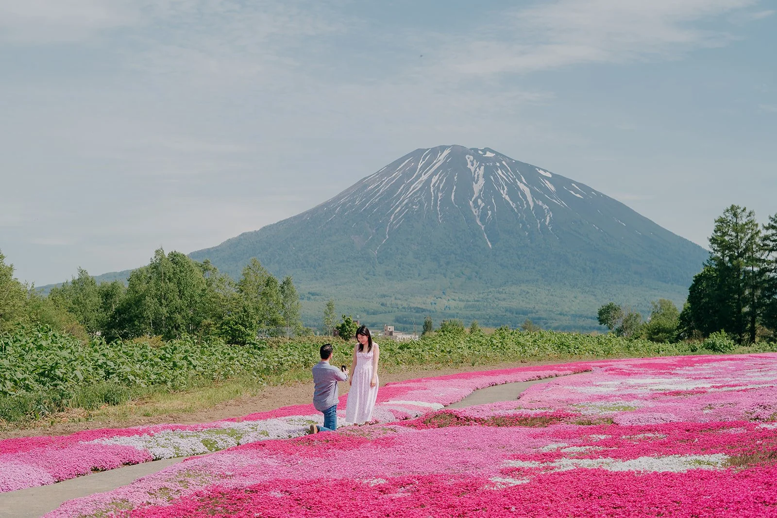 How We Planned a Spring-Inspired Proposal in Hokkaido After Cherry Blossom Season