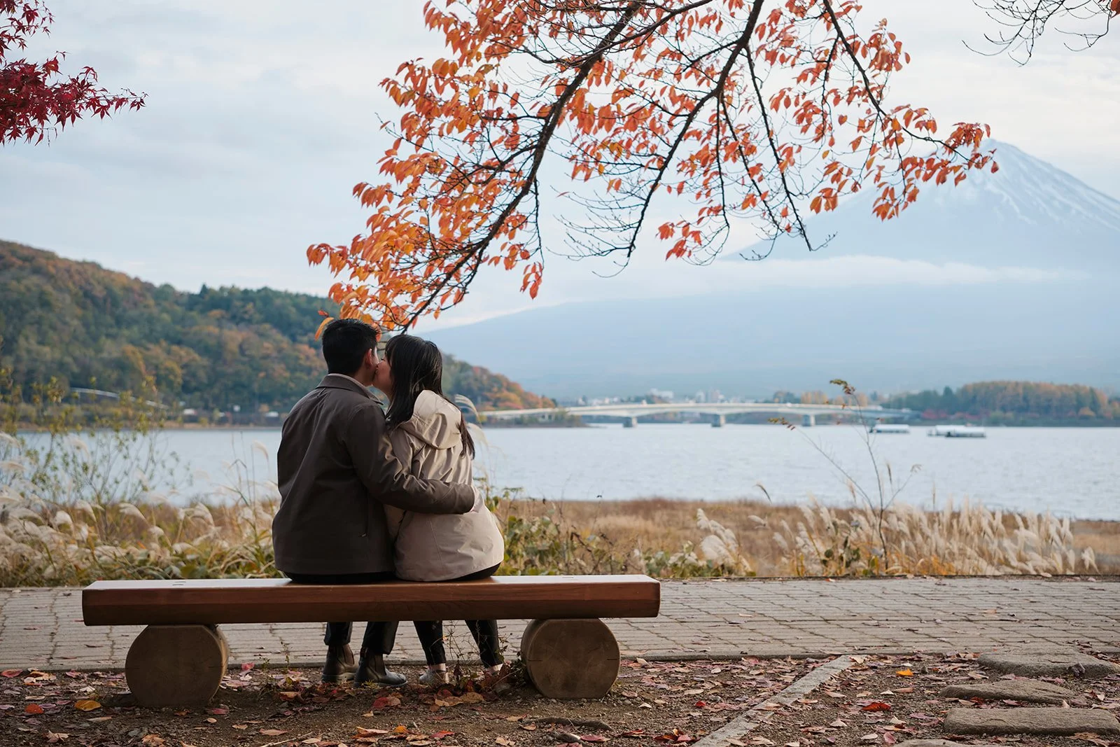 Kogamasao Memorial Park: An Autumn Proposal Story Worth Knowing About