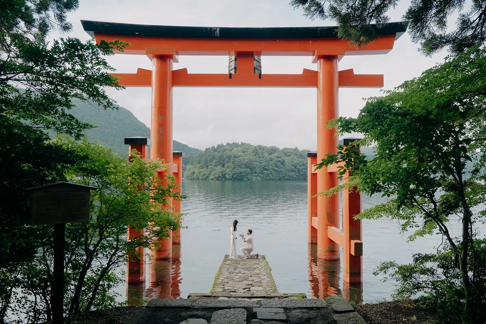DSCF7817.jpg