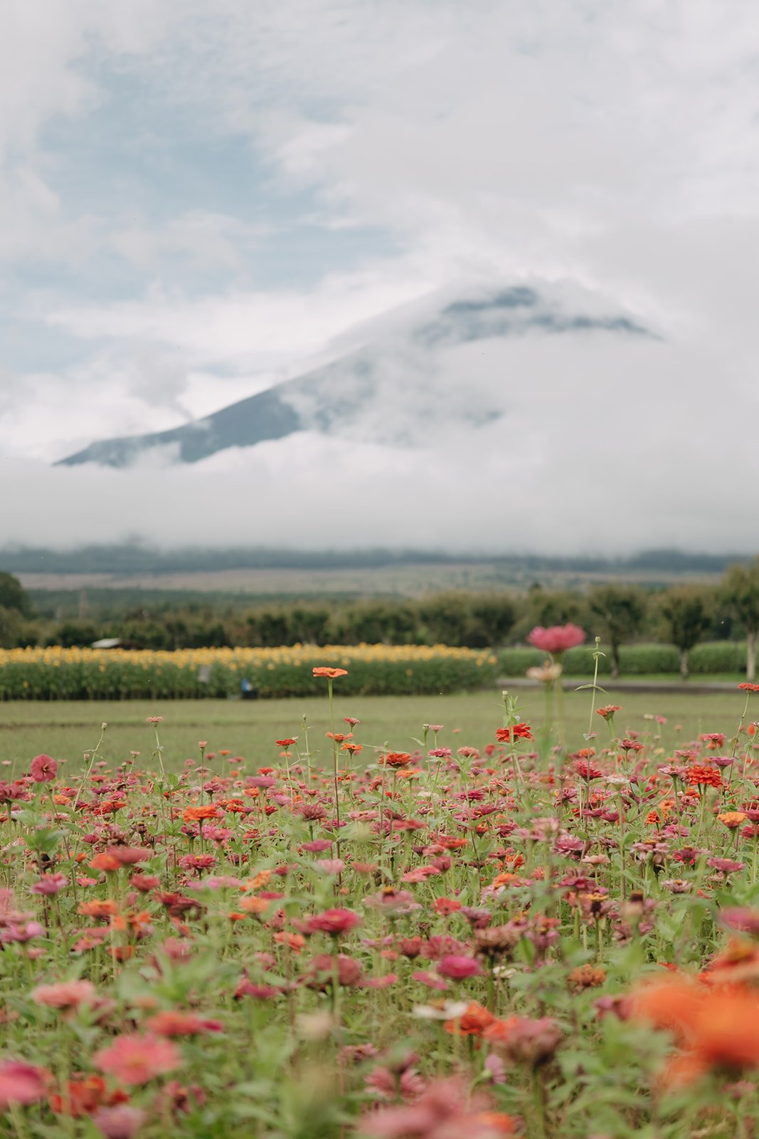 What a Fully Planned Proposal in Mount Fuji Looks Like