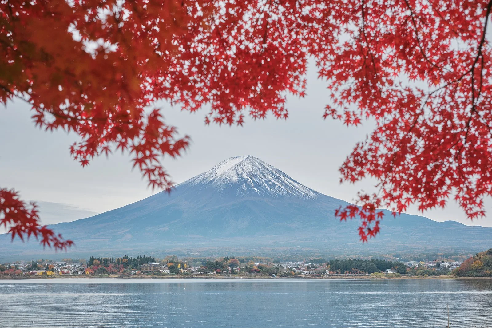 Kawaguchiko in Every Season: What to Expect and Best Times to Visit