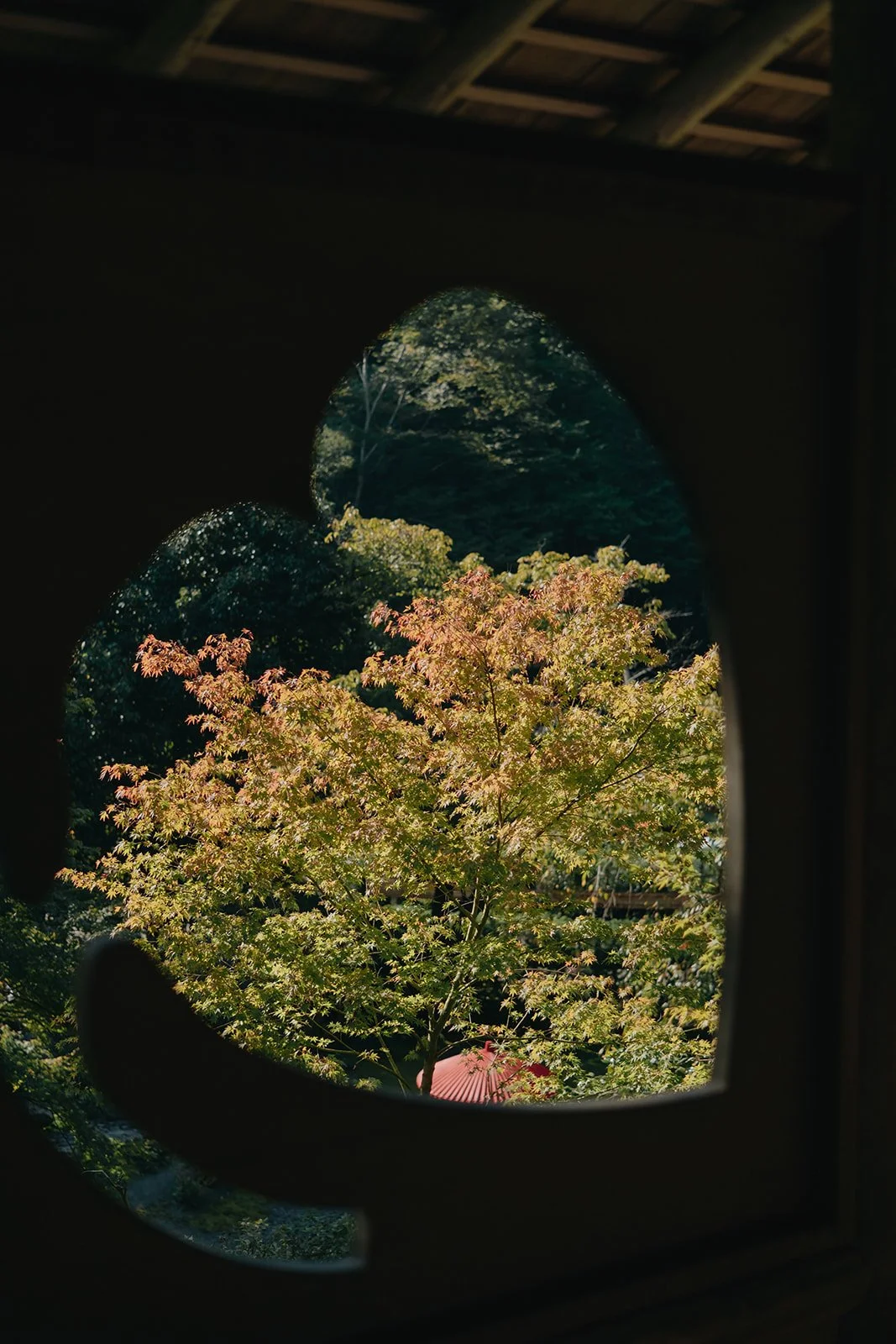 DSCF2114.jpg