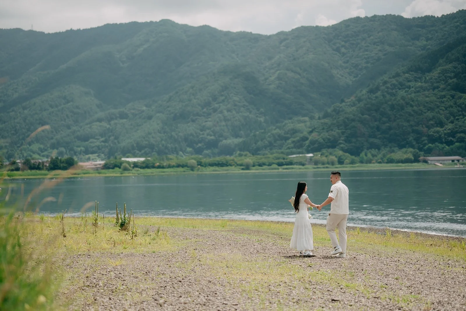 Mt Fuji views proposal
