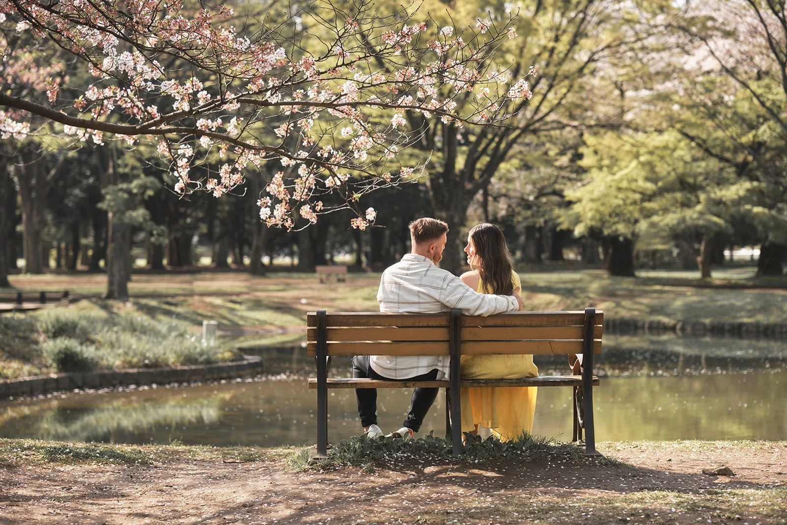 Couple sitting in yoyogi park during cherry blossom season