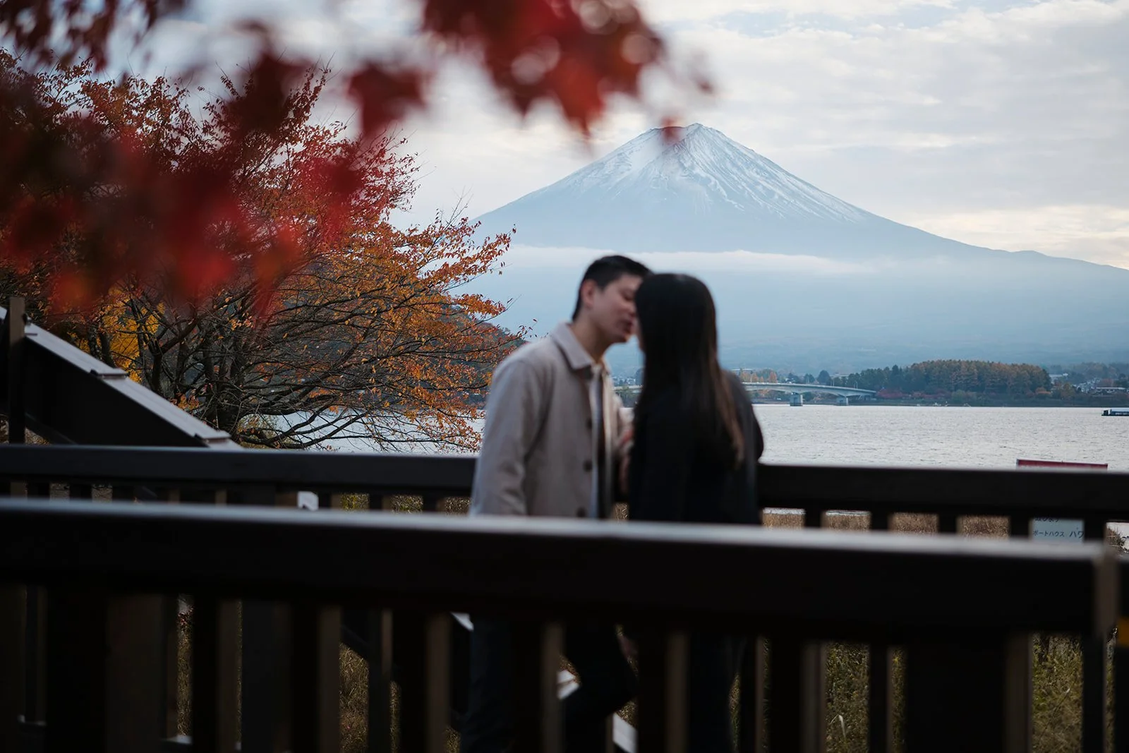 autumn proposal in Japan
