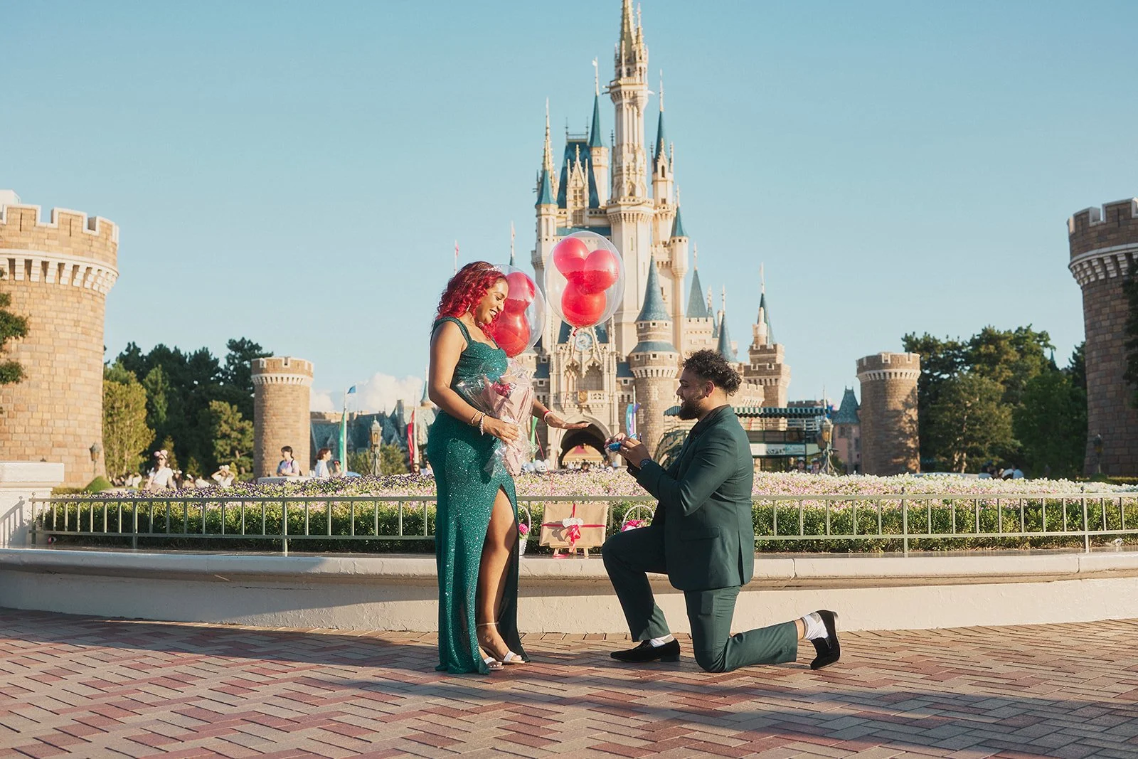 Disneyland Proposal