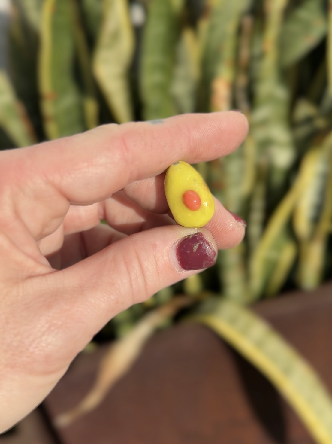 View recent photos 3.png