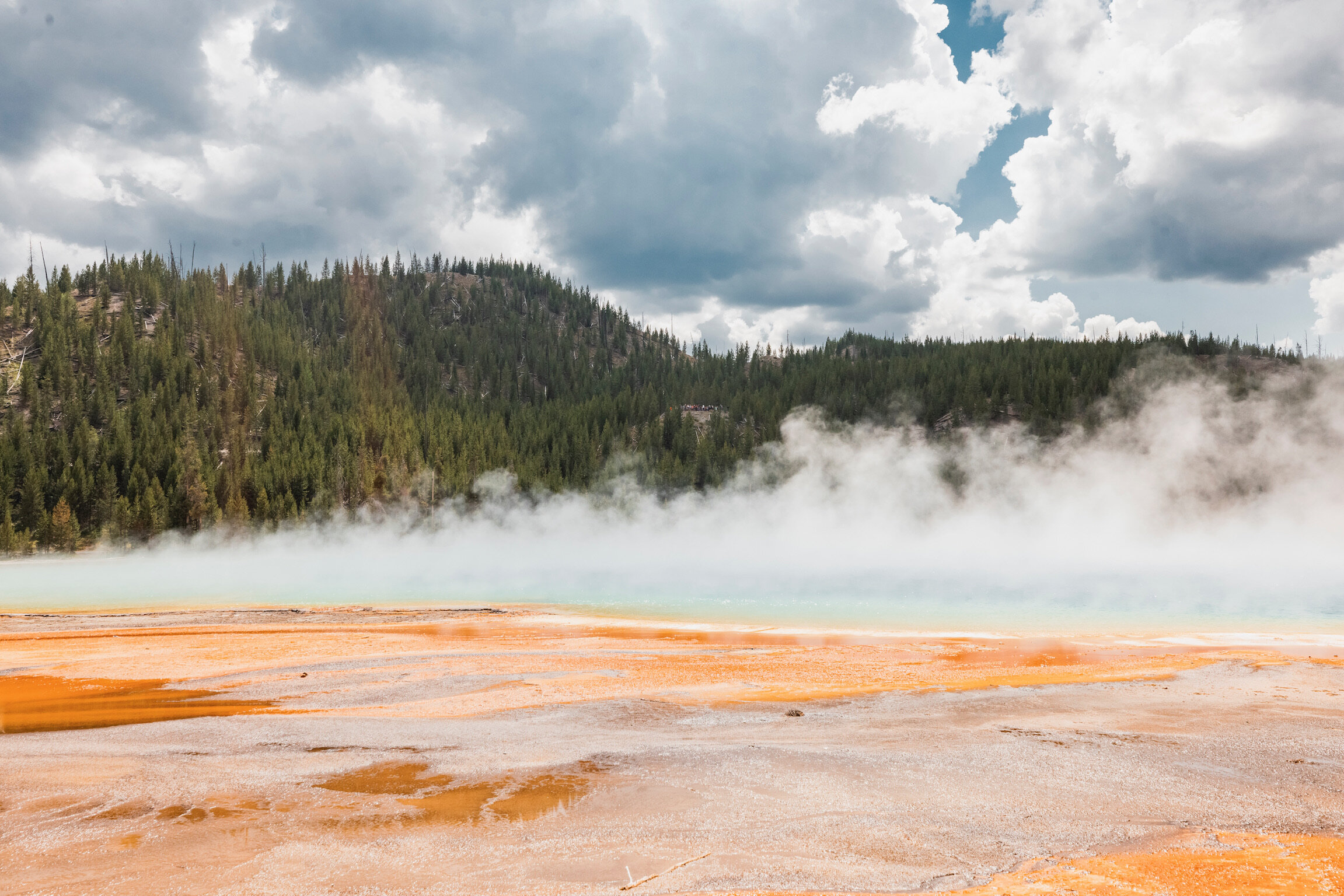 A geothermal hot spring with orange and white mineral deposits, steam rising from the water, surrounded by a forested hillside under a cloudy sky.