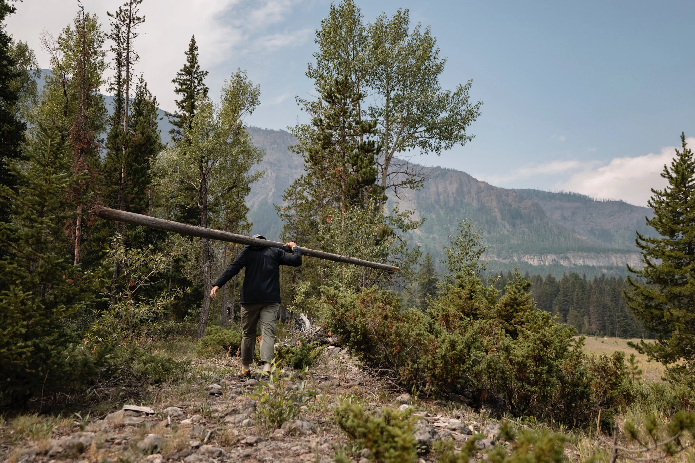 Person walking through a forest carrying a long wooden pole on their shoulder, with mountains in the background.