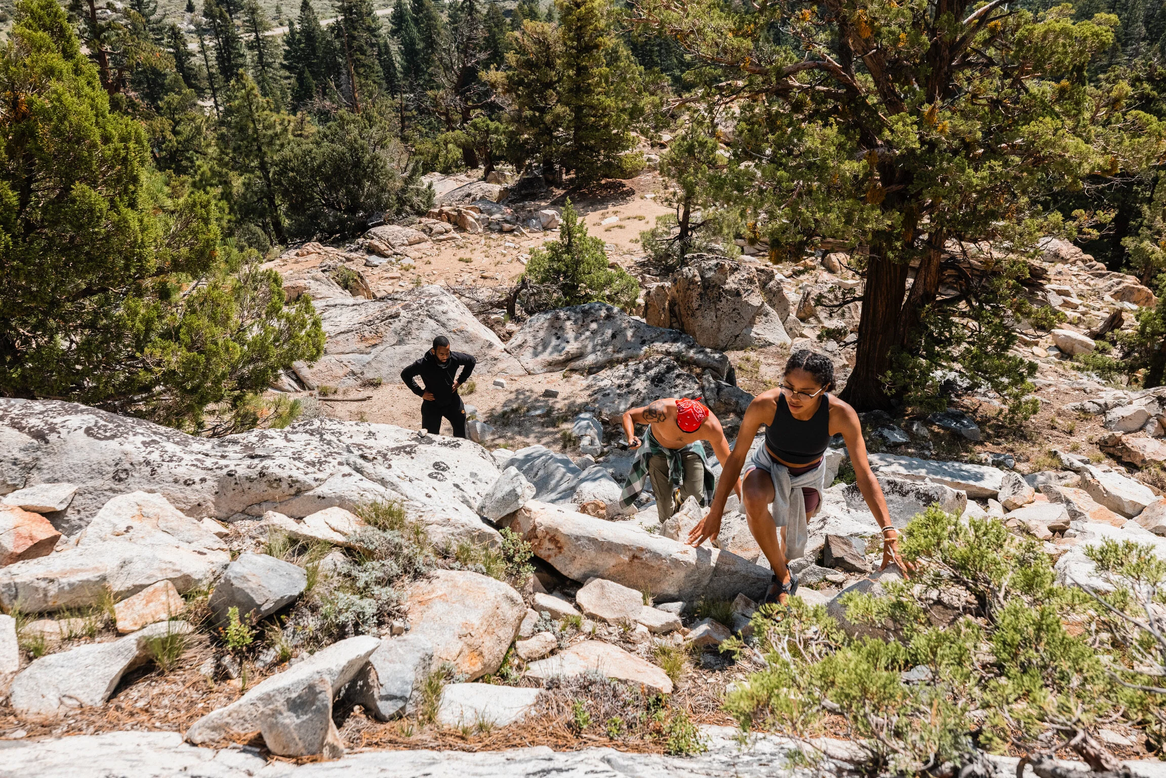 Three people hiking up a rocky mountain trail surrounded by trees and bushes.