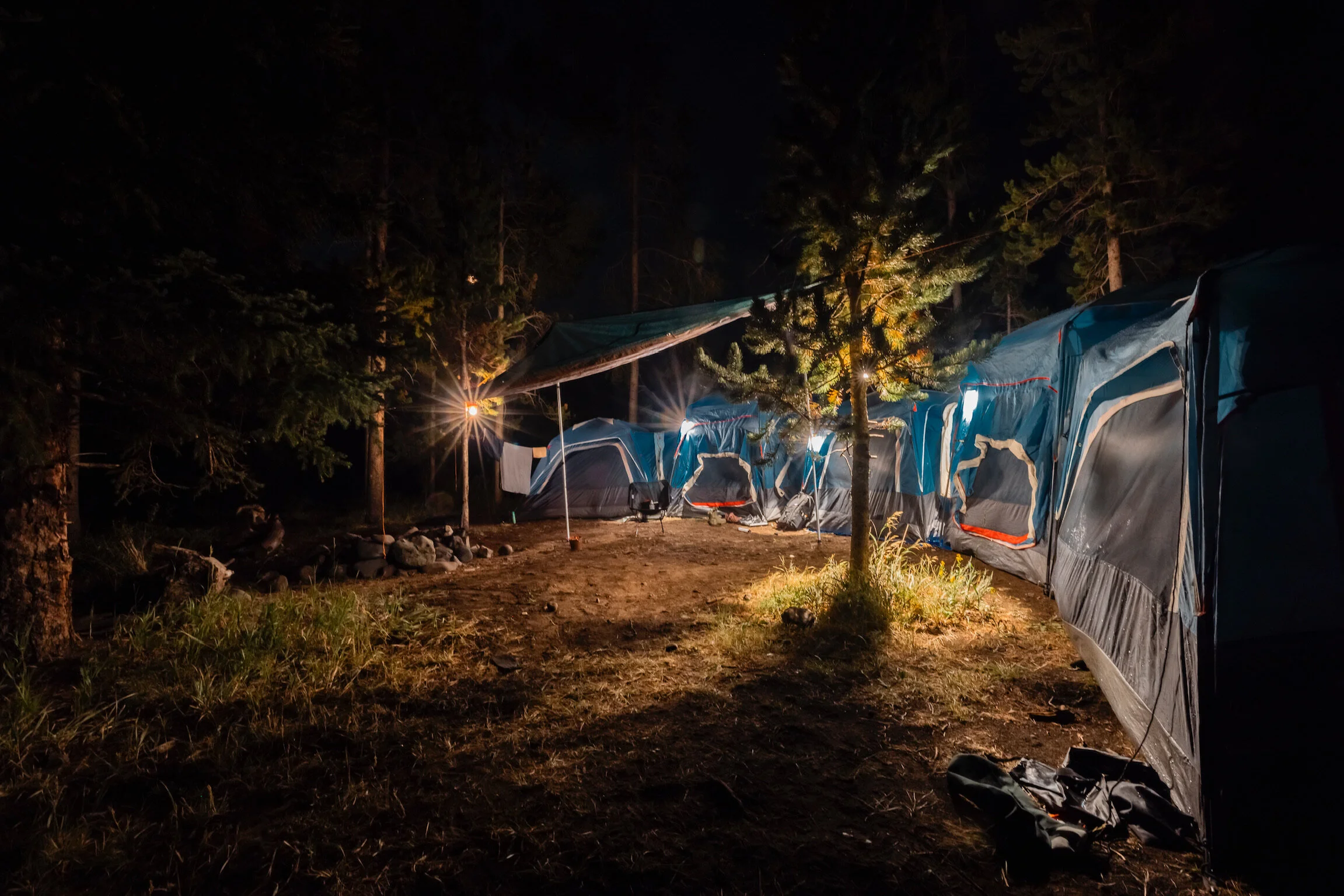 Nighttime in a forest campsite with multiple blue tents illuminated by camp lights, surrounded by trees and grass.