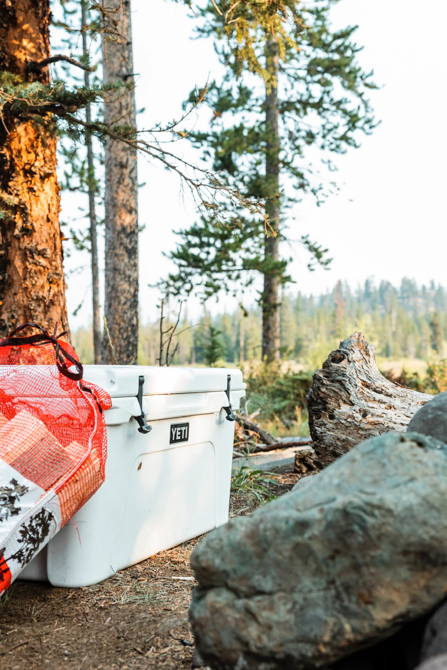 A white YETI cooler is placed on the forest floor next to an orange and white checkered bag, with tall pine trees and rocks in the background.