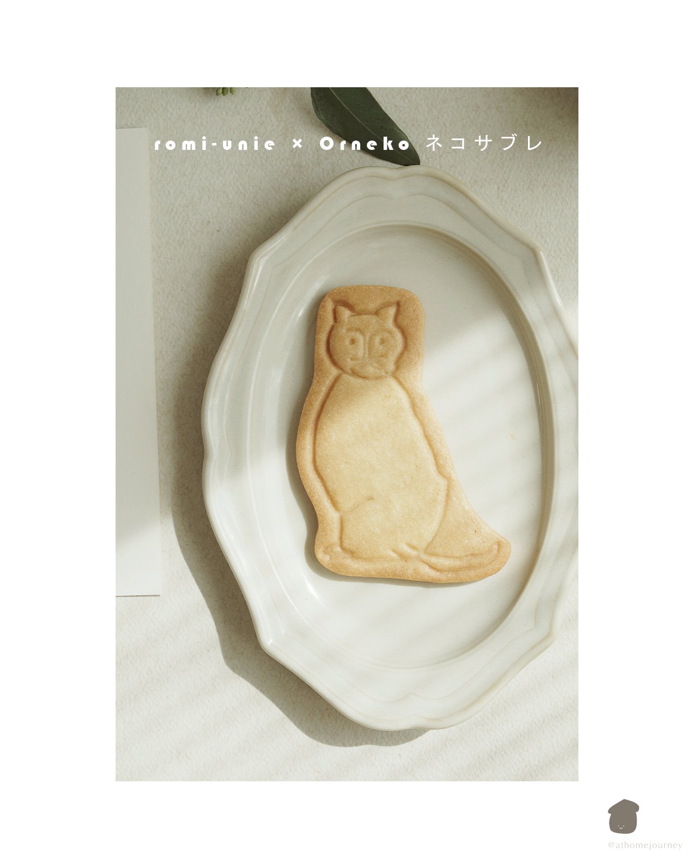 aps_AHJ-romiuniecookie2 .jpg