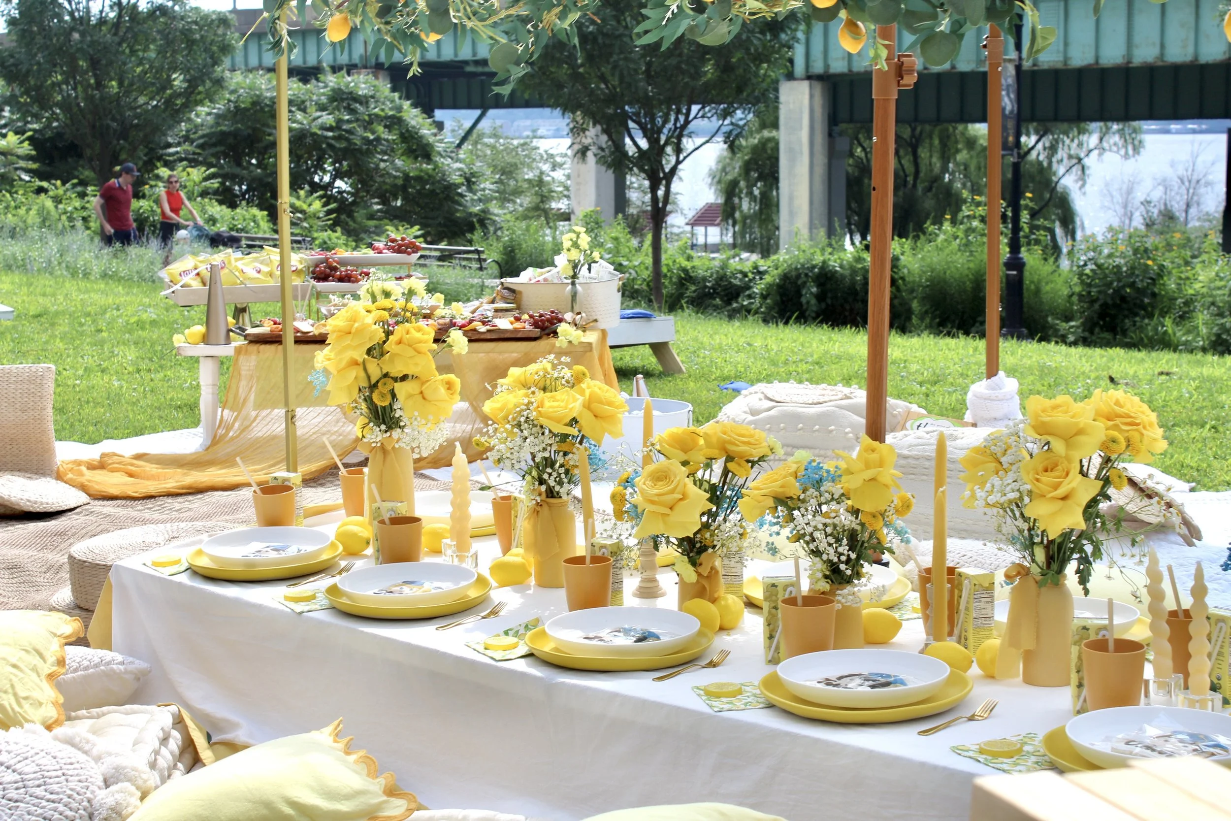 Lemon Zest Grad Picnic | Pampas Picnics