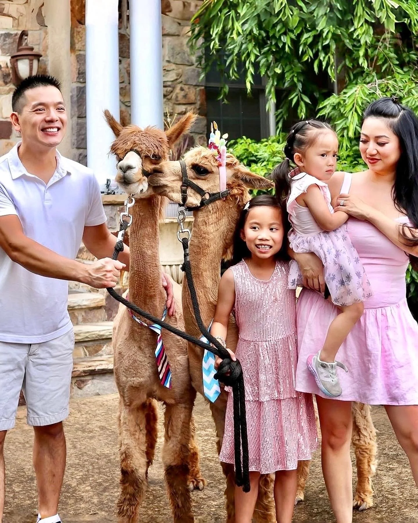 A Dreamy Alpaca Picnic: Our Whimsical Children’s Petite Picnic Dream