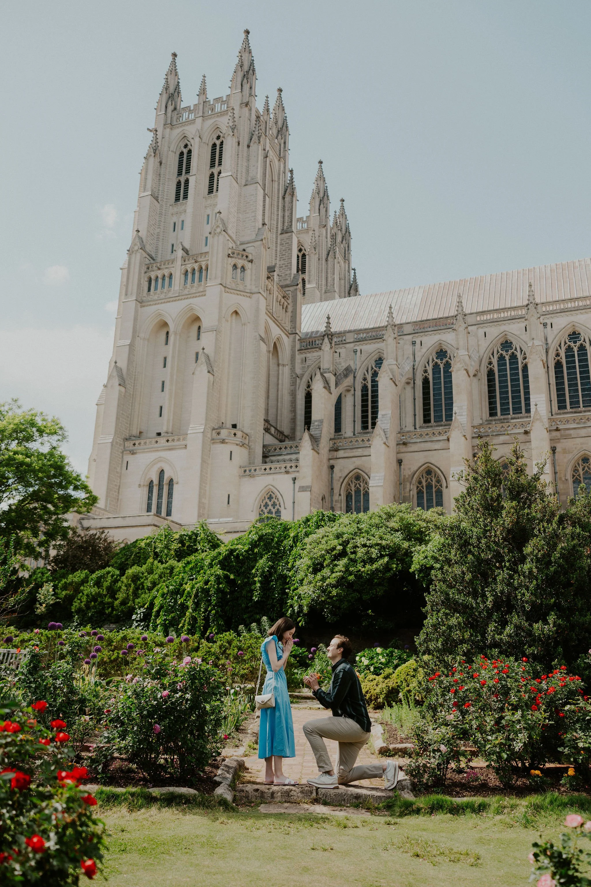 Romantic National Cathedral Proposal and Tregaron Conservancy Picnic