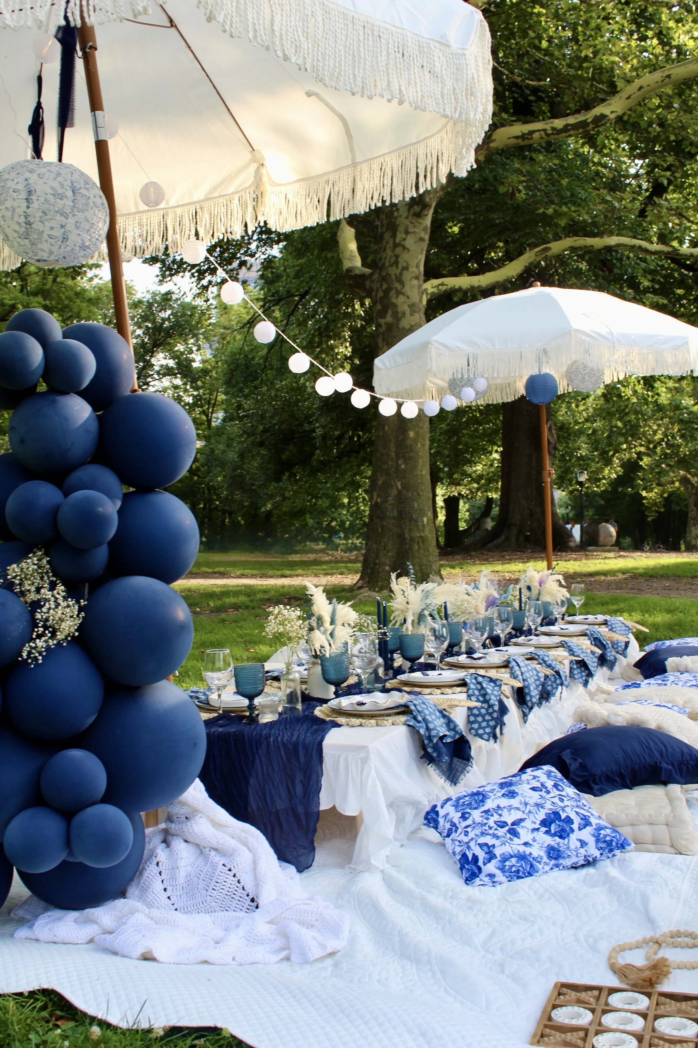 royal blue palette picnic | dmv and nyc