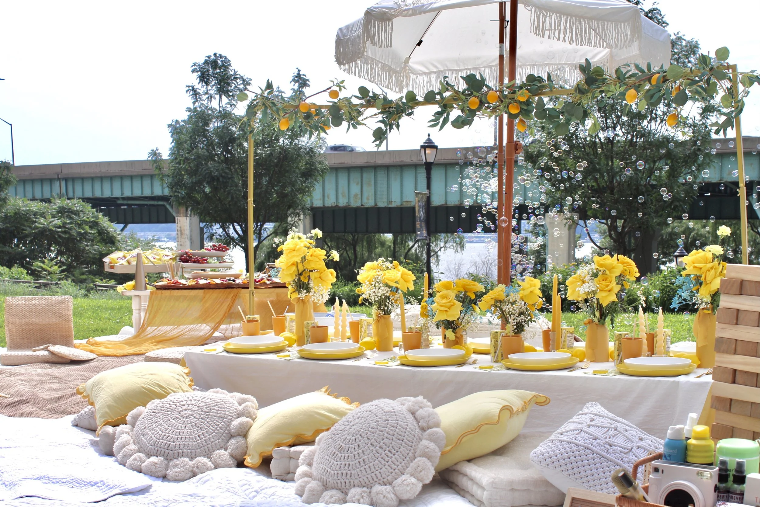 DMV Graduation Picnic Celebration  Pampas Picnics